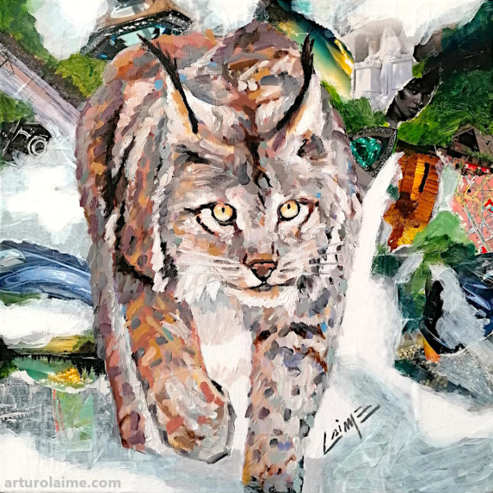 Lynx by Arturo Laime